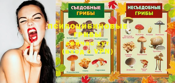 MDMA Premium VHQ Вяземский