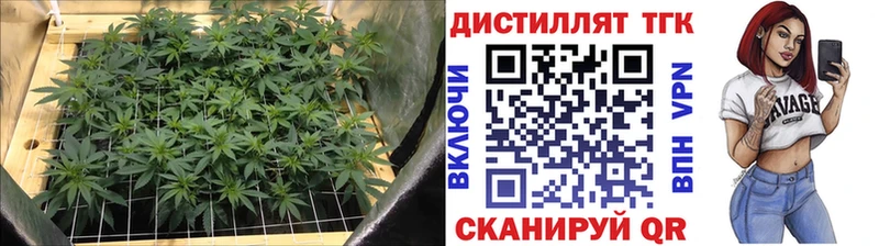 Дистиллят ТГК гашишное масло  Купить где  Асбест 