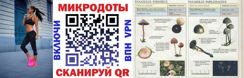 Купить где  Асбест  Псилоцибиновые грибы GOLDEN TEACHER 